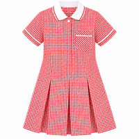 Girls School Uniform Gingham Pleated Check Summer School Dress