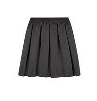 Box Pleated Elasticated Waist Skirt